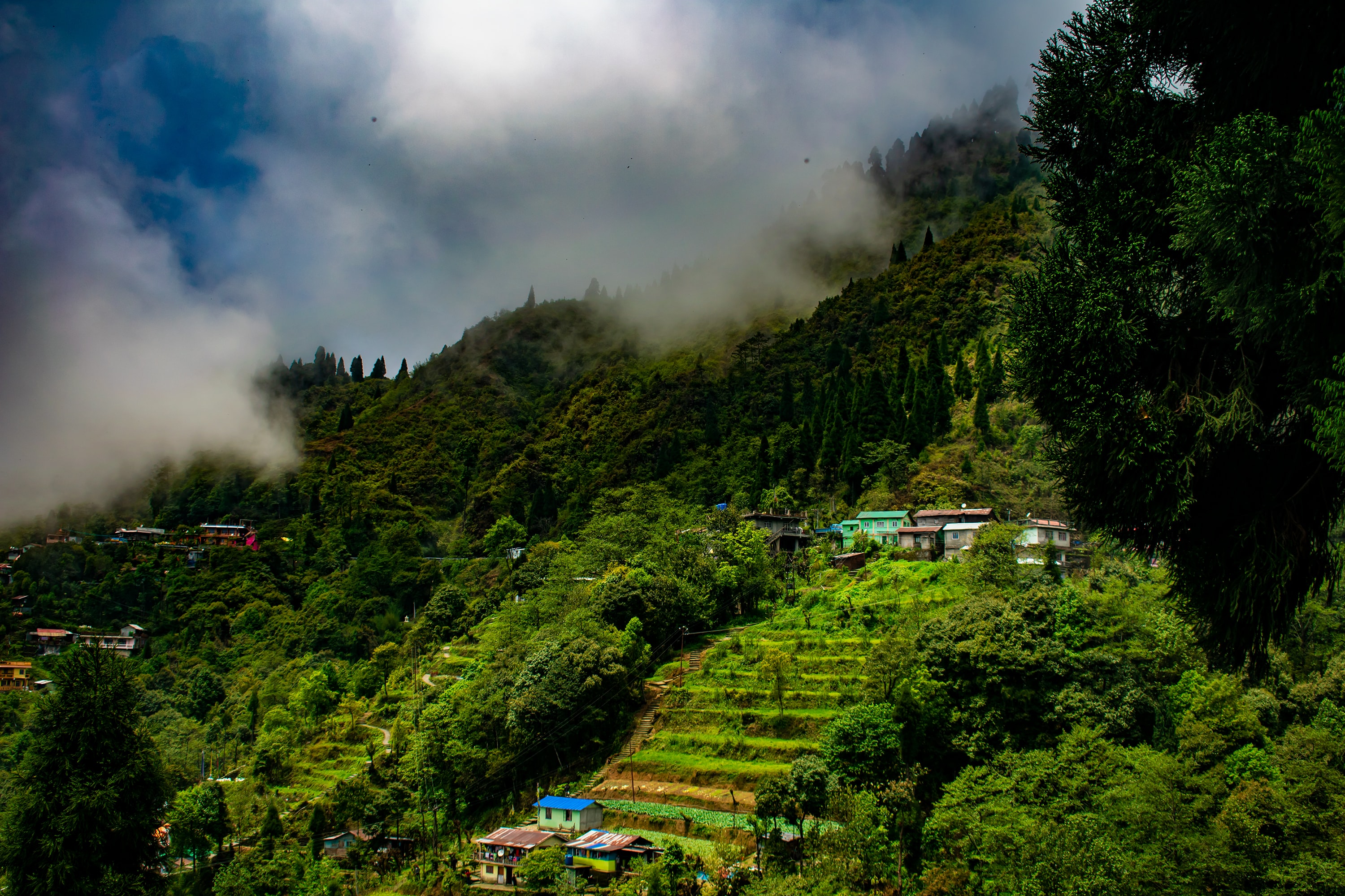Darjeeling Image 2